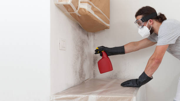 Professional Attic Mold Remediation technician working in Totowa, NJ