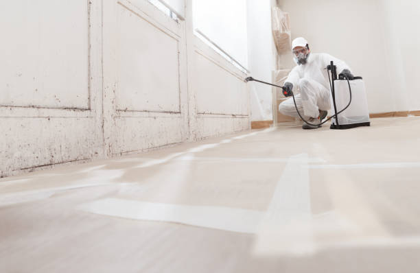24/7 Emergency Attic Mold Remediation experts in Totowa, NJ