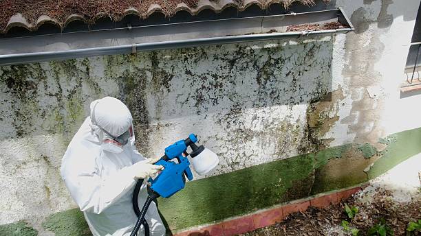 Top rated local Attic Mold Remediation specialists in Totowa, NJ